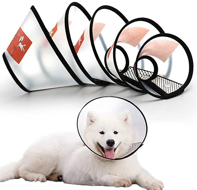 Plastkaitsega lemmiklooma taastamise koera koonuse kaelarihm - 1