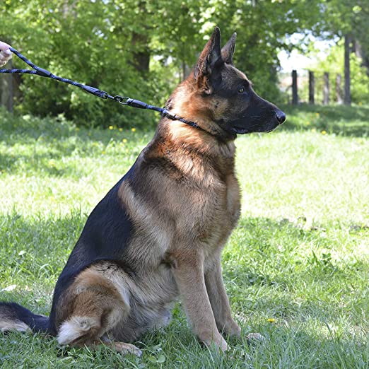 Collar de perro de cuerda de estrangulación de deslizamiento reflectante de entrenamiento trenzado para cachorros - 5