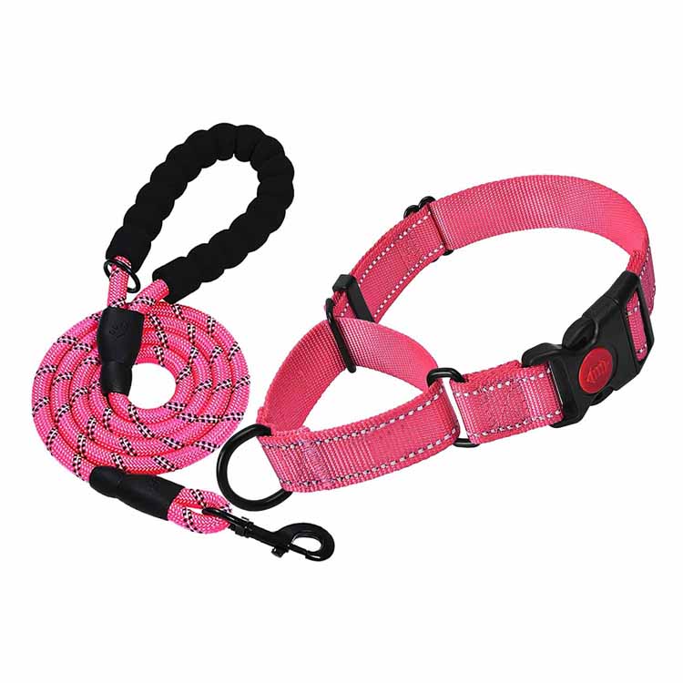Reflective Custom Adjustable Dog Collar and Leash Set