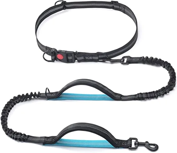 Reflective Dual Padded Bungee Running Hands Free Dog Leash