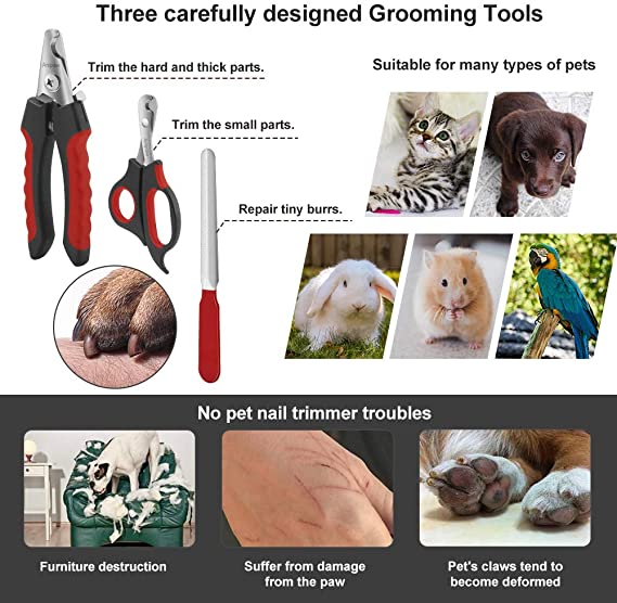 Stainless Steel Dog Pet Nail Clippers and Trimmer Set - 4