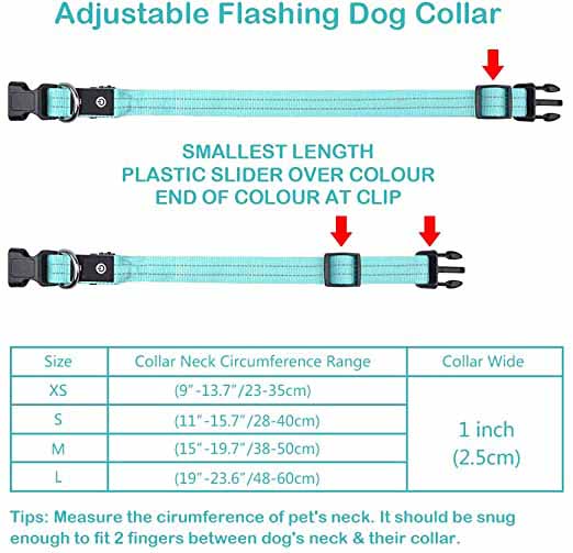 USB Rechargeable Light Up Glowing Luminous LED Dog Collar - 3 
