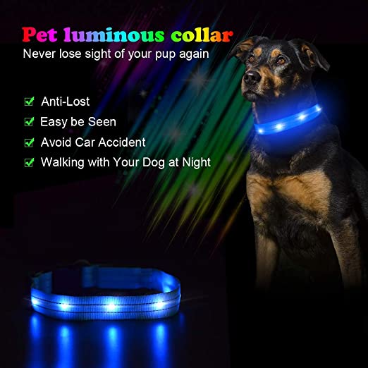 USB Rechargeable Light Up Glowing Luminous LED Dog Collar - 4 