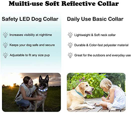 USB Rechargeable Light Up Glowing Luminous LED Dog Collar - 6