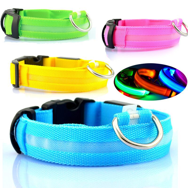 USB Rechargeable Light Up Glowing Luminous LED Dog Collar