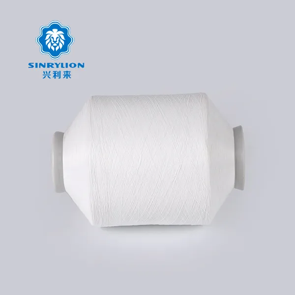 Full dull Raw White Nylon Twisted Yarn