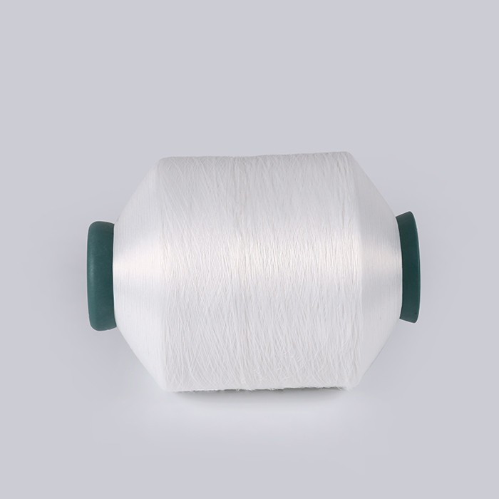 Nylon 6 Twisted filament Yarn - 1