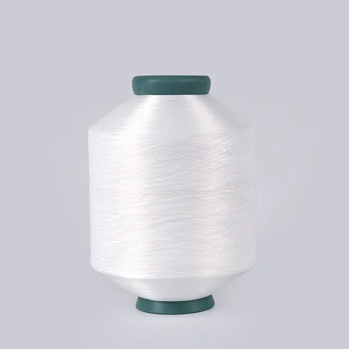 Nylon 6 Twisted filament Yarn