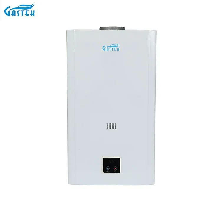 Constant Temperature 10L 12L 16L 18L Flue Type LCD Panel Wall Mounted Tankless Instant LPG Natural Hot Water Gas Geysers for Shower