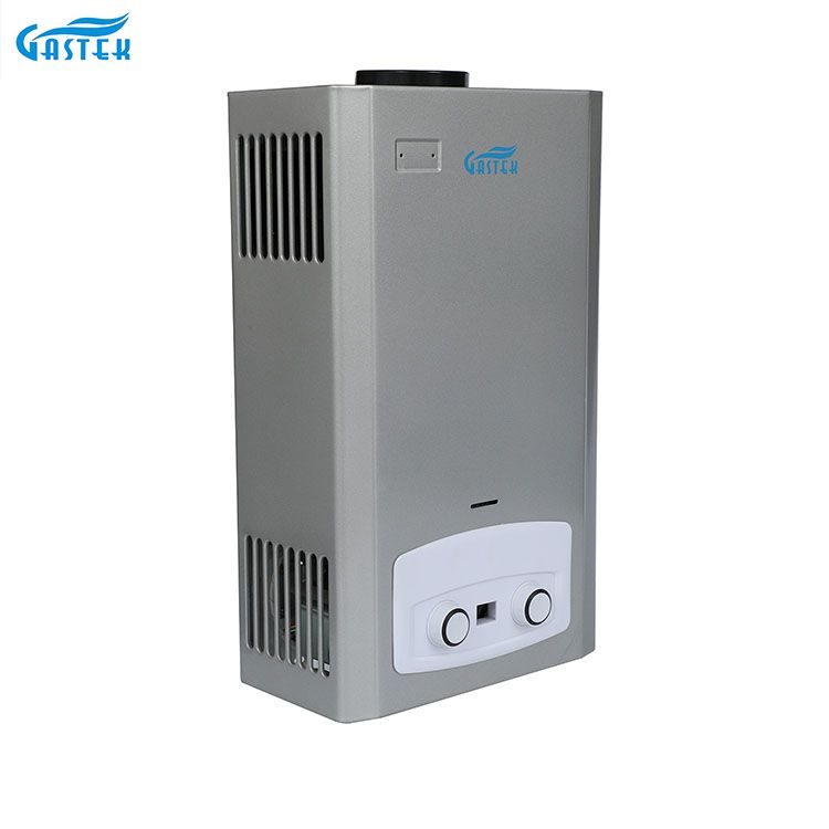 Buy Gas Water Heater China Cheap Price High Quality Home Appliance Flue Type Wall Mounted  Natural LPG Gas Geyser for Shower Bathing