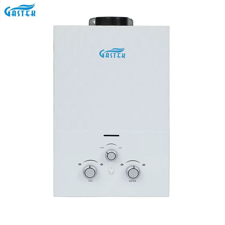 Flue Type Wall Mounted Tankless Instant Gas Hot Water Heater for Shower