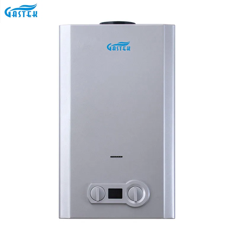 Flue Type 6L 10L 12L 16L 20L Tankless Instant LPG Natural Gas Hot Water Heater for Shower