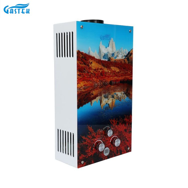 चीन गैस वॉटर हीटर मैन्युफैक्चरिंग होलसेल फ़्लू टाइप 12L ग्लास पैनल कॉम्पैक्ट साइज़ गैस हॉट वॉटर हीटर