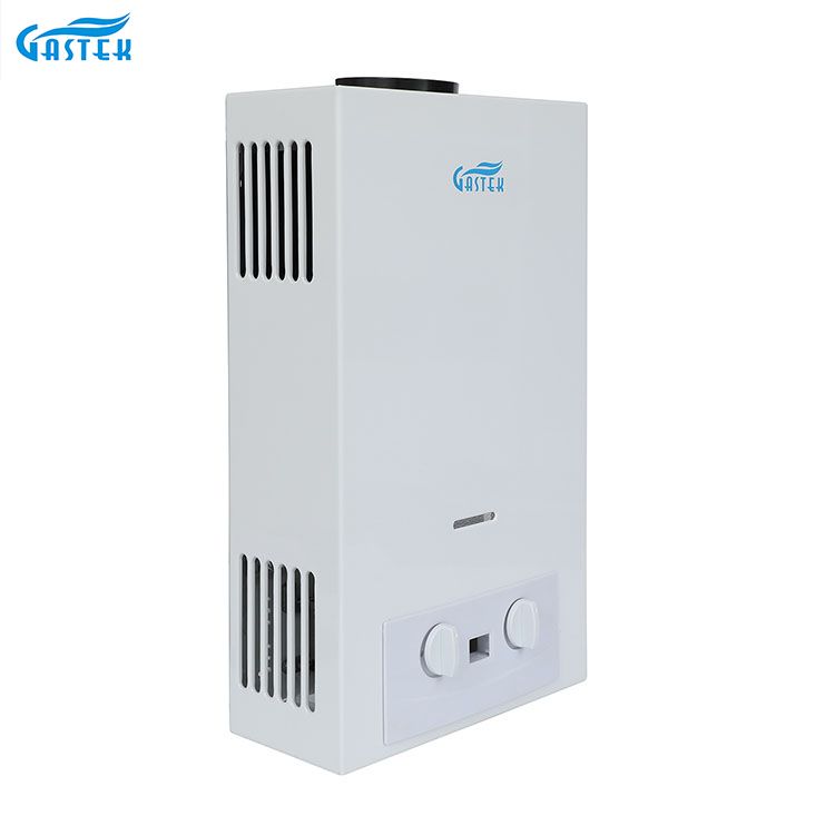 चीन गैस वॉटर हीटर निर्माण सस्ती कीमत उच्च गुणवत्ता वाले घरेलू उपकरण फ़्लू प्रकार रसोई के लिए एलपीजी प्राकृतिक गैस वॉटर हीटर