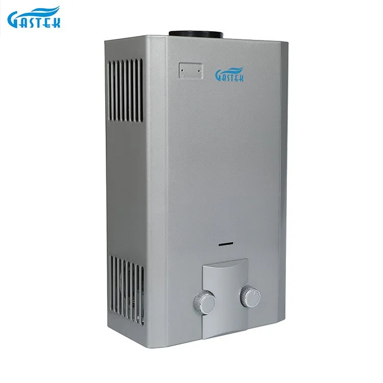 Flue Type Wall Mounted Gas Water Heater for Shower Bathing