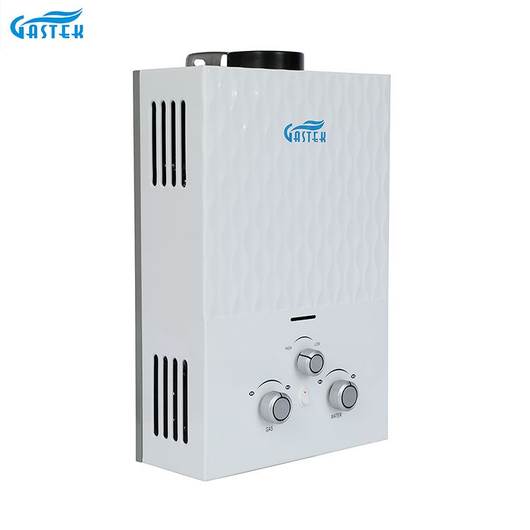 China Gas Water Heater Manufacture Home Appliance OEM Factory Flue Type Wall Mounted LPG Tankless Instant Gas Hot Water Heater for Shower
