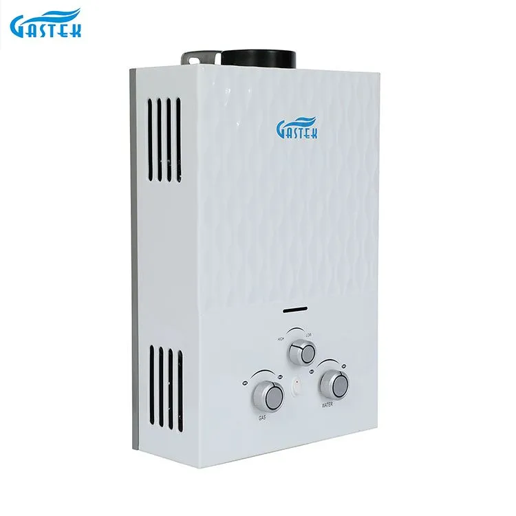 Flue Type Wall Mounted LPG Tankless Instant Gas Hot Water Heater for Shower