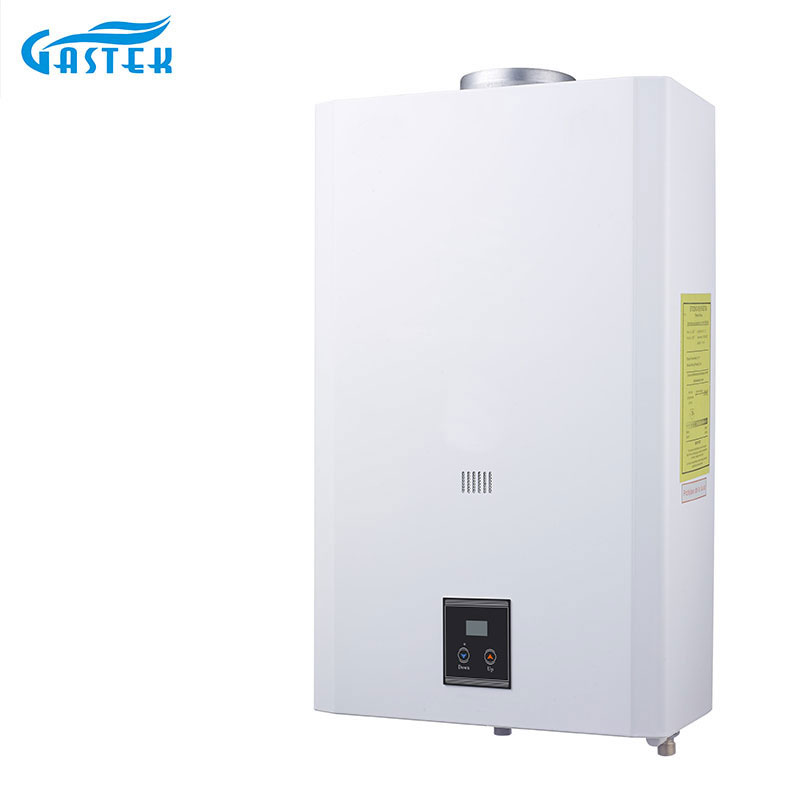 Home Appliance Constant Temperature 10L 12L 16L 18L Hot Sale Flue Type Wall Mounted Tankless Instant LPG Natural Hot Water Gas Water Heater for Shower