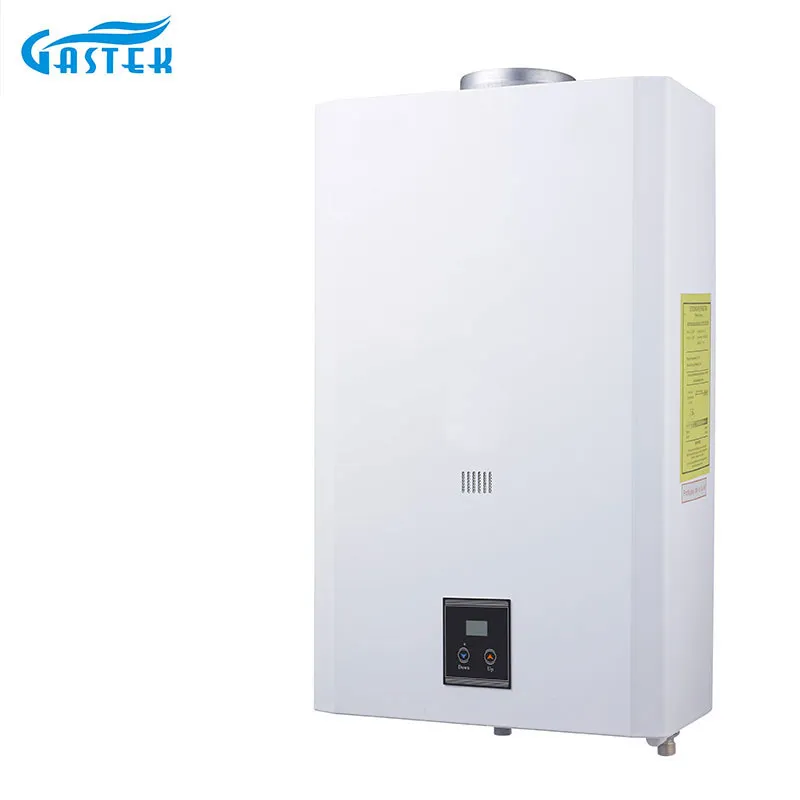 Constant Temperature 10L 12L 16L 18L Flue Type Wall Mounted Tankless Instant LPG Natural Hot Water Gas Water Heater for Shower