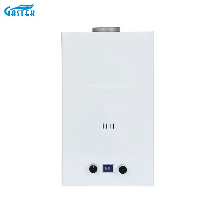 Flue Type 6L 8L 10L 12L 16L 18L 20L Tankless Instant LPG Gas Geyser for Shower