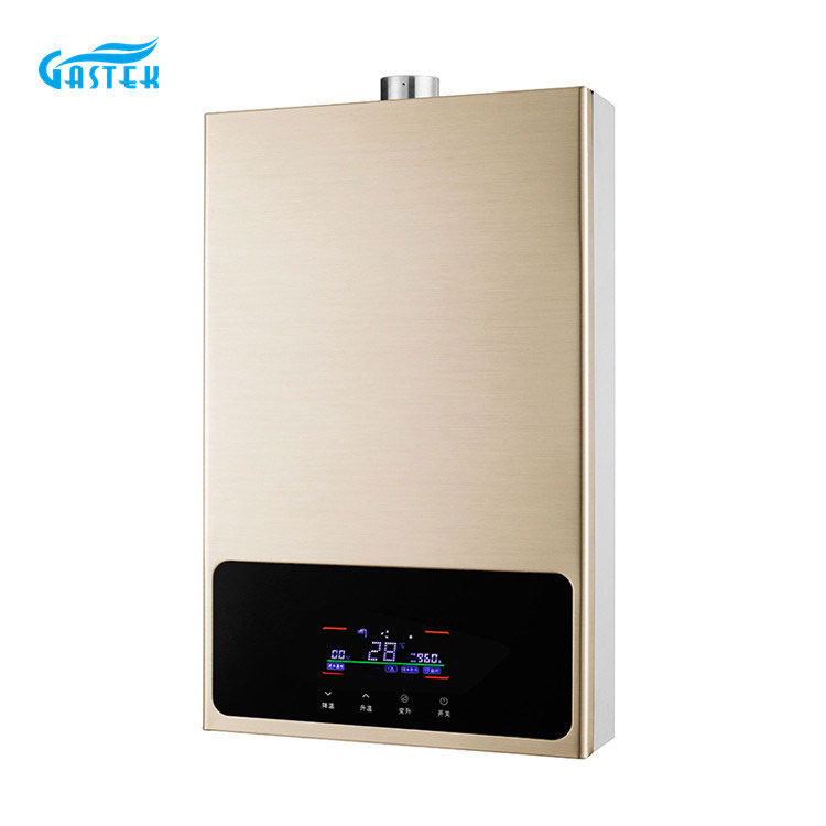 Hot Selling Home Appliance Constant Temperature Forced Type Gas Water Heater for Kitchen