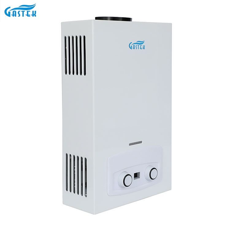 China Supplier Hot Sale Home Appliance Boiler Flue Type Shower LPG Gas Water Heater for Shower Bathing