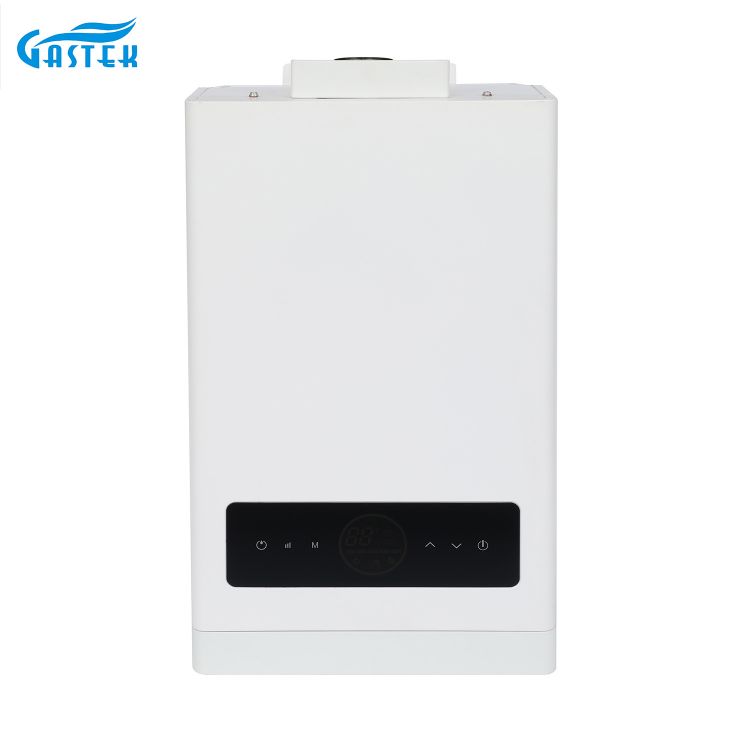 China Supplier OEM Constant Temperature Touch Screen Display Forced Type Tankless Gas Water Heater with Turbo