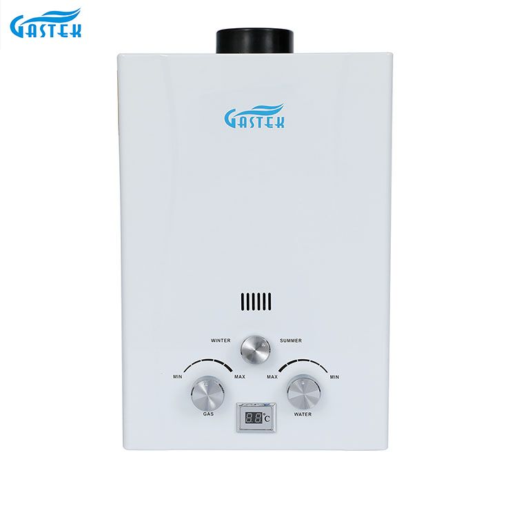 China Supplier Wholesale Home Appliance Flue Type Shower LPG 6L 10L 12L 16L 20L Gas Geyser Install in Bathroom