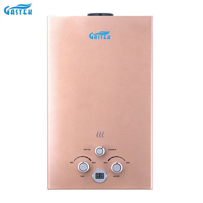 Tankless Hot Selling Flue Type LPG Banyo Gas Water Heater