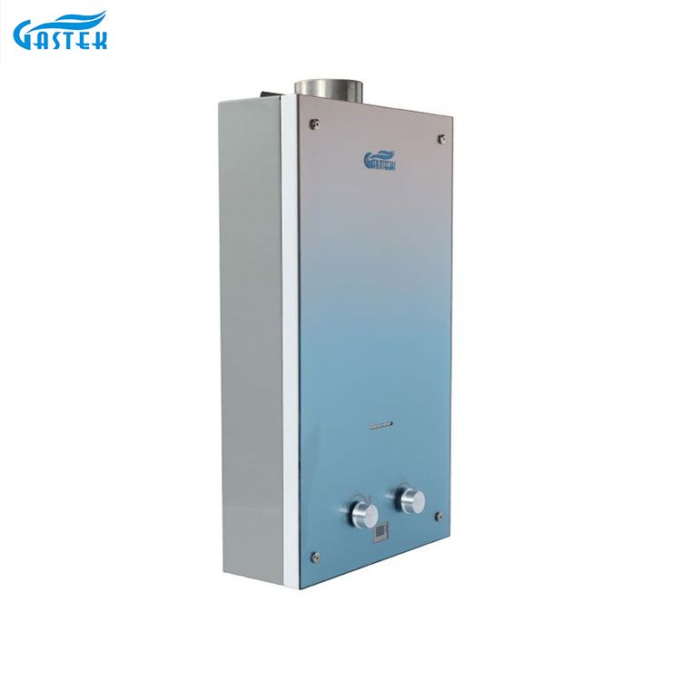 Chinese OEM Factoty Wholesale Home Appliance 6L 10L 12L Flue Type Wall Mounted Customized Glass Panel Tankless Instant Gas Geyser for Shower Bathing