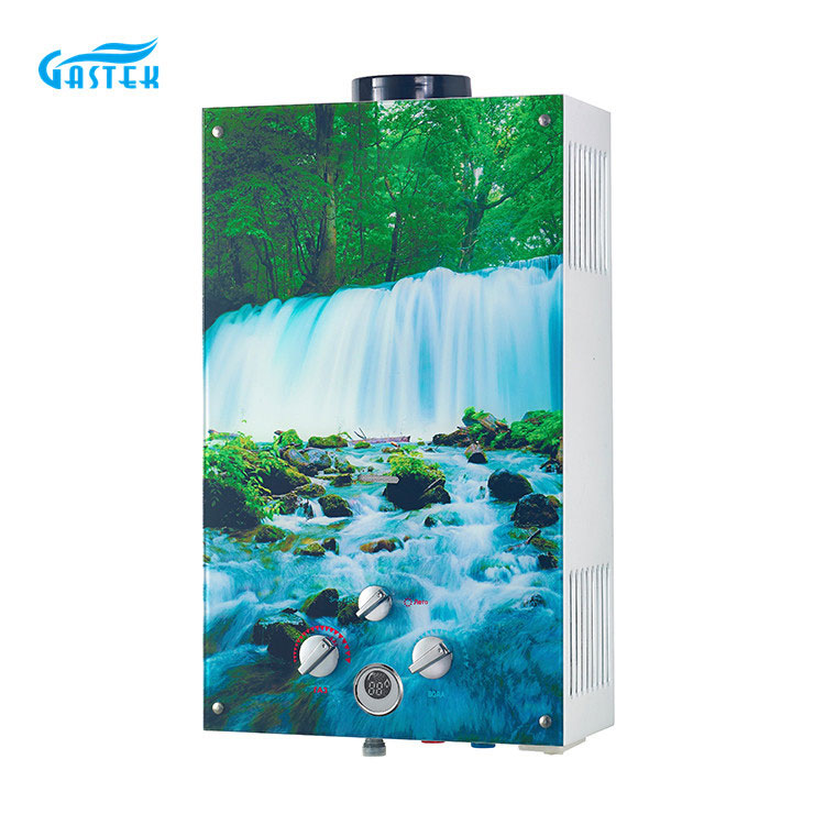 Chinese Supplier Home Appliance 6L 10L 12L Flue Type Wall Mounted Customized Glass Panel Hot Selling Tankless Instant Gas Water Heater for Bath