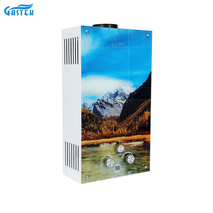 चीन प्रदायक सस्ती कीमत उच्च गुणवत्ता वाले टैंक रहित फ्लू प्रकार ग्लास पैनल गैस वॉटर हीटर रसोई के लिए थोक गैस गेसर