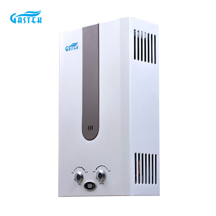 Common Flue Type Gas Water Heater