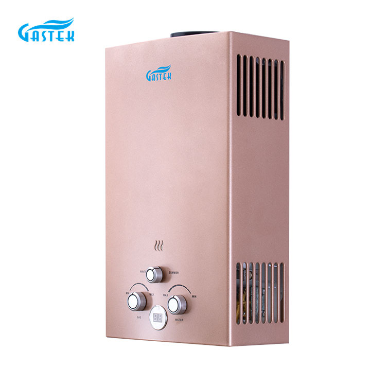 Common Flue Type Gas Water Heater