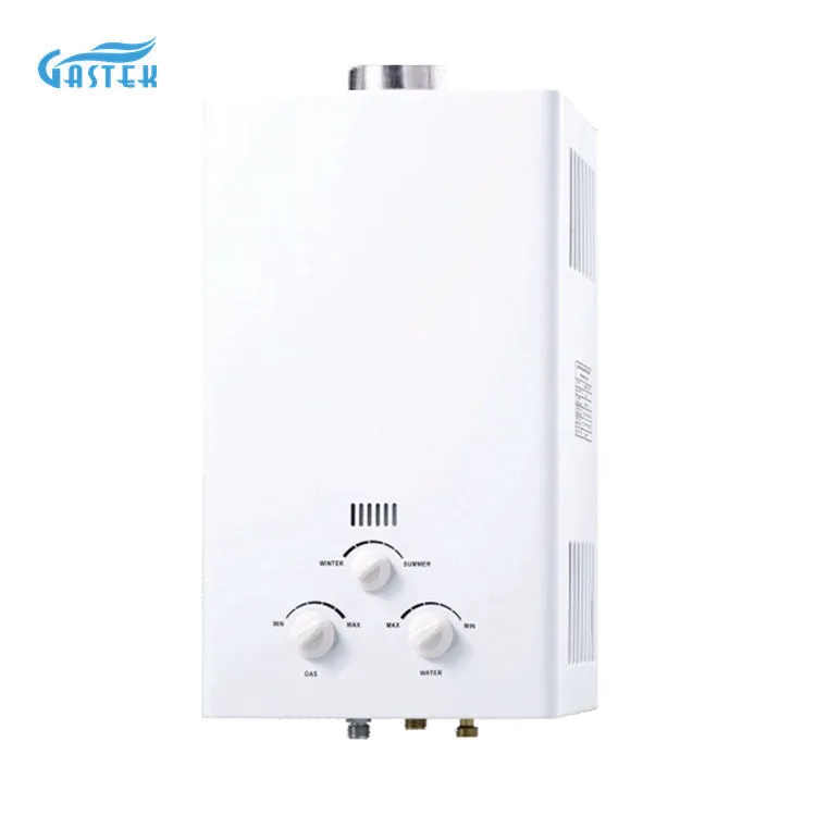 Common Flue Type Gas Water Heater