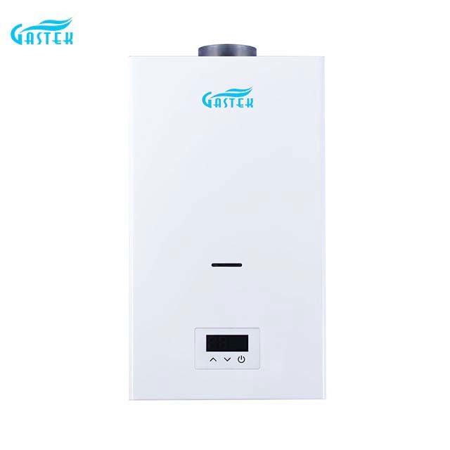 Constant Temperature 10L 12L 16L 18L Hot Sale Flue Type Wall Mounted Tankless Instant LPG Natural Hot Water Gas Water Heater for Shower