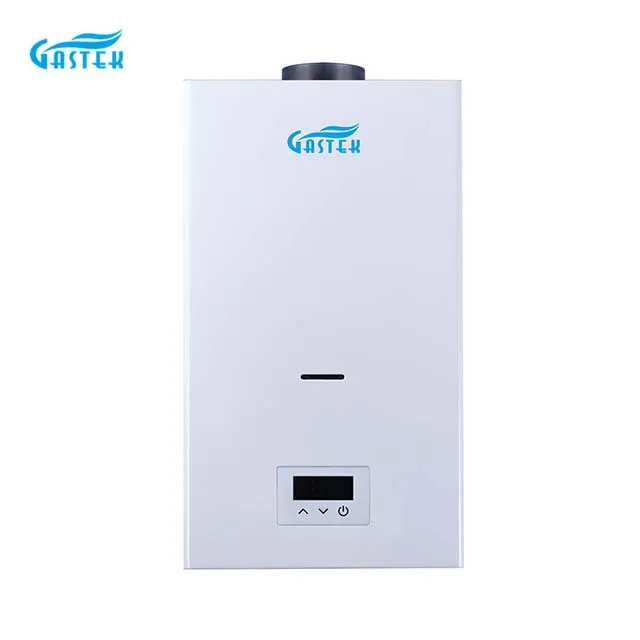 Constant temperature flue type gas water heater powered by electricity