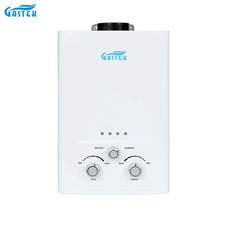 굴뚝 유형 잘 고정된 6L 10L 12L 16L 20L LPG Tankless 샤워 목욕을 위한 즉시 가스 보일러