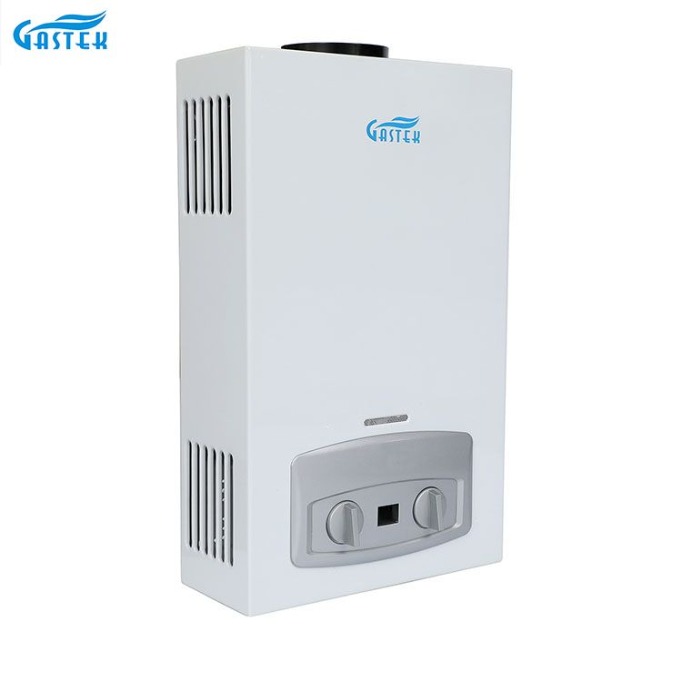 Home Appliance Chiness Factory OEM ODM Flue Type Wall Mounted 10L LPG Tankless Instant Gas Hot Water Heater for Shower