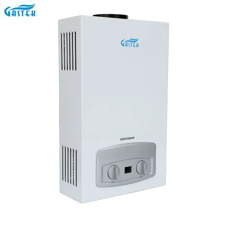 Home Appliance Flue Type Wall Mounted 10L LPG Tankless Instant Gas Hot Water Heater for Shower