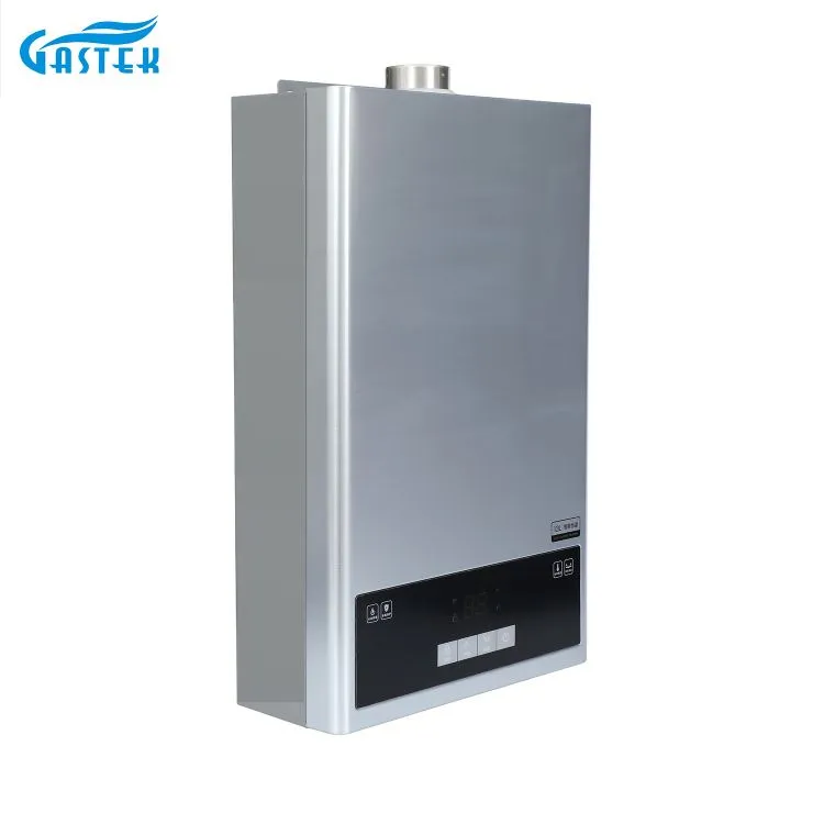 Home Appliance Forced Type Electricity 220V 110V Turbo Compact Size Tankless Gas Water Heater for Shower