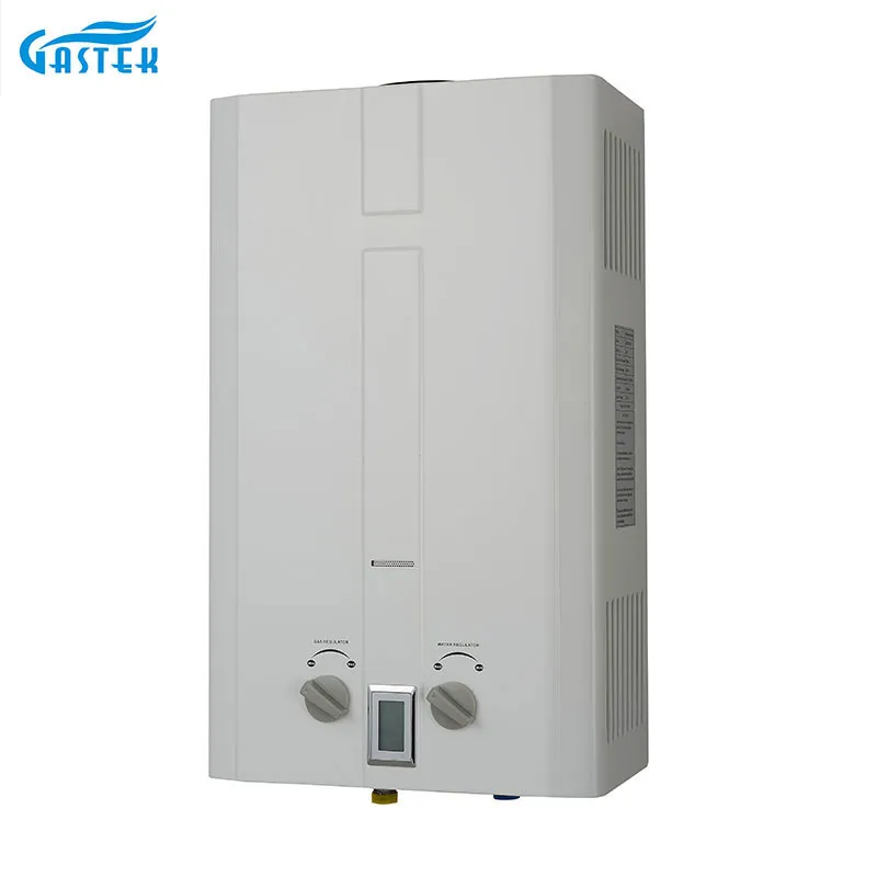 Flue Type Wall Mounted Home Appliance Gas Geyser