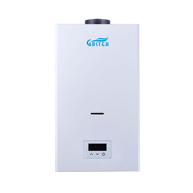 Constant temperature flue type gas water heater powered by electricity