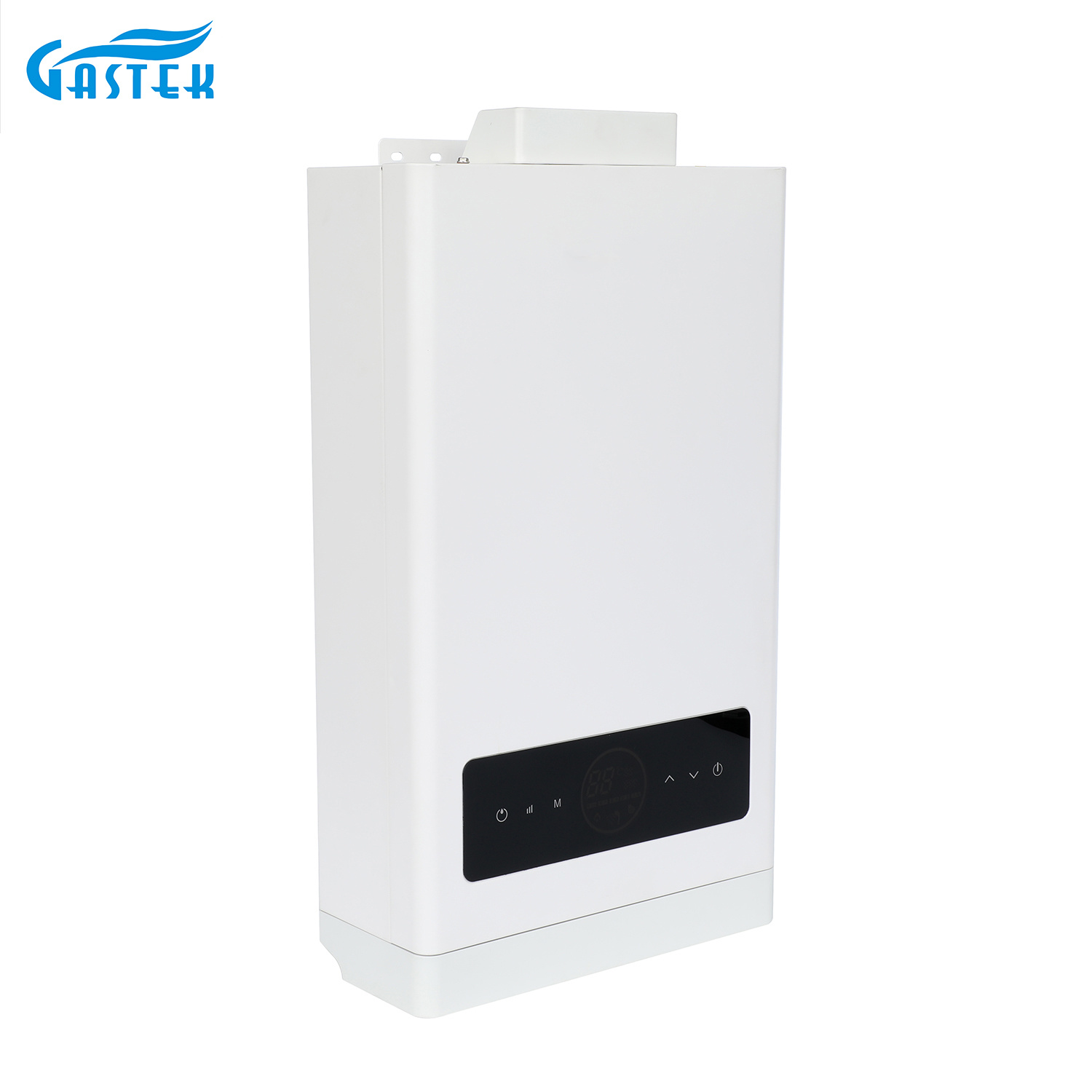 Electricity 220V 110V LCD Panel Forced Type Constant Temperature Shower Gas Water Heater