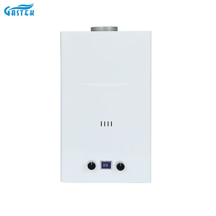 Flue Type Wall Mounted 6L 10L 12L 16L 20L LPG Tankless Instant Gas Hot Water Heater for Shower