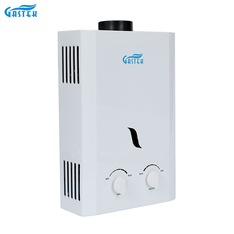 Flue Type Wall Mounted 6L 10L 12L 16L 20L LPG Tankless Instant Gas Geyser for Shower
