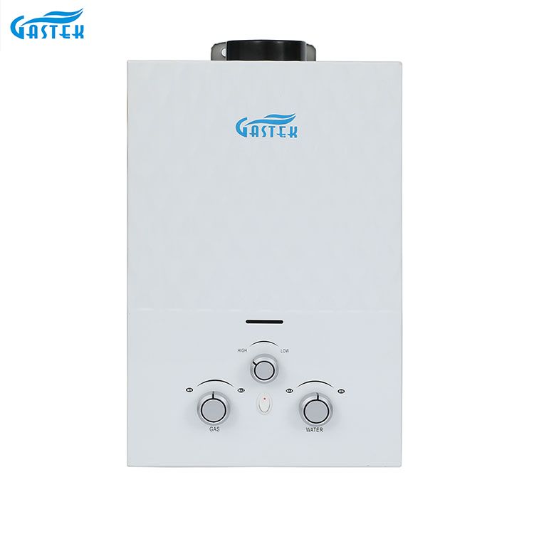 Flue Type Wall Mounted Gas Water Heater for Shower Bathing