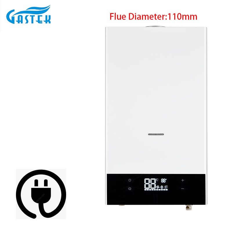 Electronic Control Constant Temperature 10L 12L Flue Type Wall Mounted Tankless Instant LPG Natural Hot Water Gas Water Heater for Shower