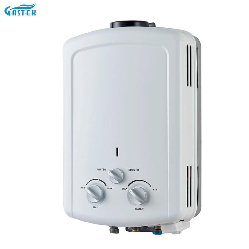OEM Factory Home Appliance Hot Selling Flue Type Instant Gas Water Heater