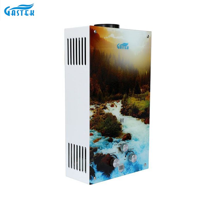 ຂາຍສົ່ງເຮືອນແກ້ວໃຊ້ກະດານລາຄາທີ່ດີທີ່ສຸດ Flue Type Wall Mounted Instant Gas Water Heater for Shower Bathing